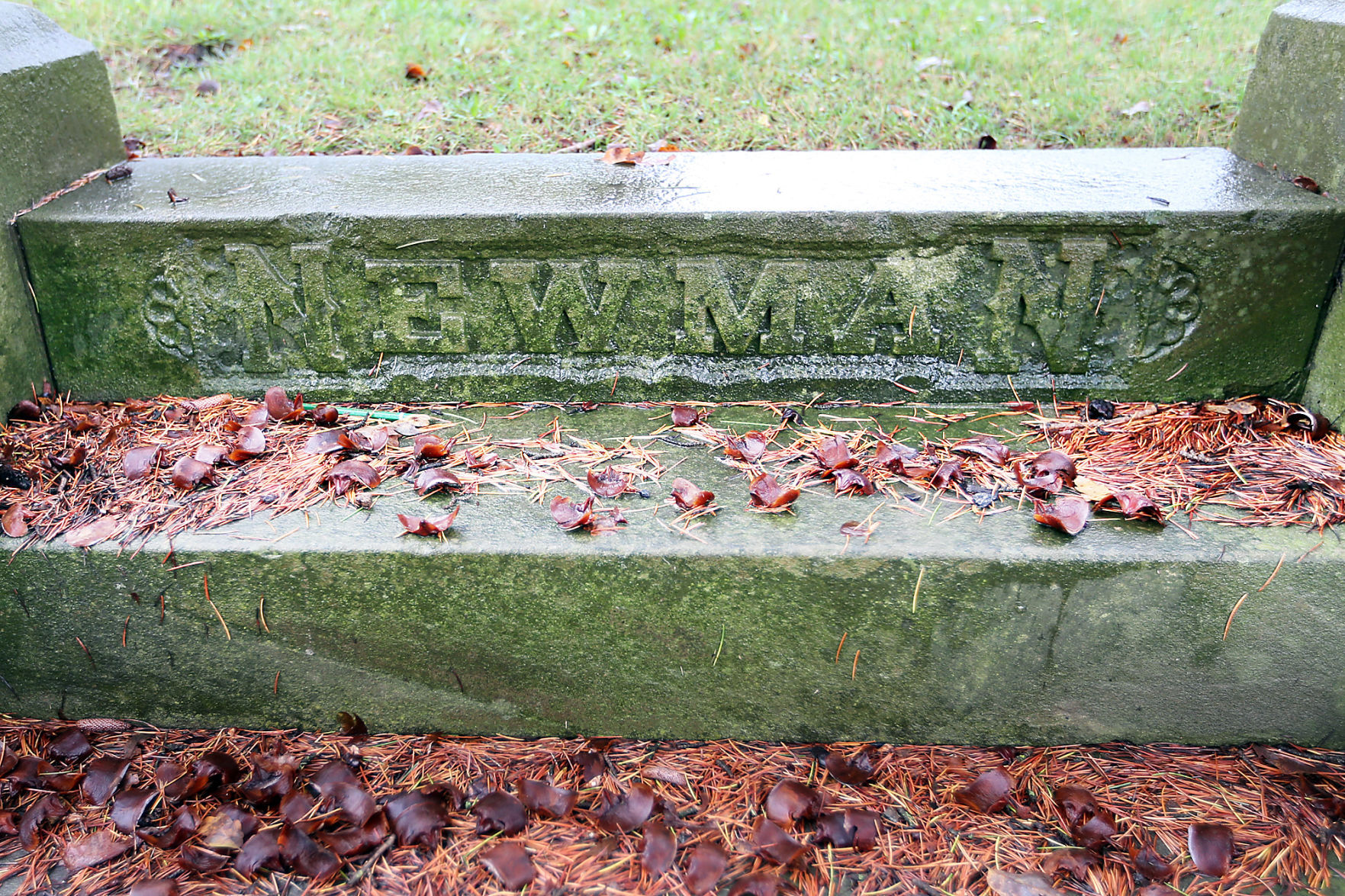Tulocay Cemetery, James B. Newman, 1851-1929